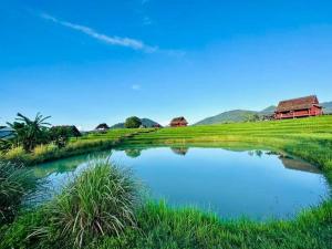 ເຂົ້າໜຽວຟາມສະເຕ-Kao Niaw Farmstay