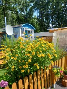 Cottage-Irina