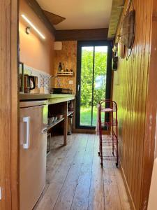 loreille du pelerin - colibri