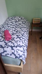 Beautiful quiet Apt in the center of Amsterdam