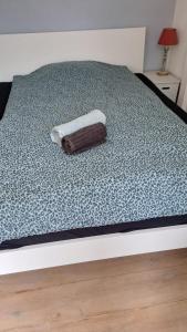 Beautiful quiet Apt in the center of Amsterdam