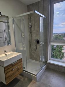 Nyvky like Home - apt 66 з терасою