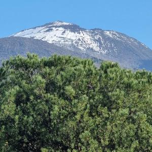 Casa vacanze VesuviusView