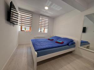 Studio room in Best of Bascarsija apartments