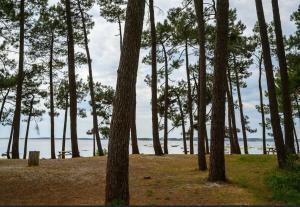Maisons de vacances Arcachon Bay Home with pool and jacuzzi beach Nearby : photos des chambres