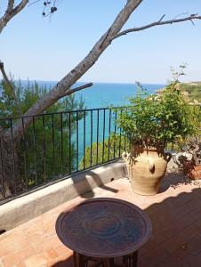 Villa Martine