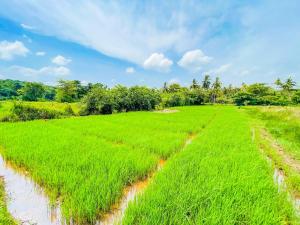 Fieldscape 9- 4BD Full Kitchen