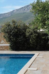 Stunning Gold Apartment with Oasis Pool