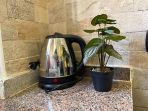 Distinctive studio for rent 2