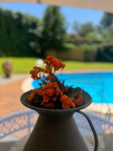 Green paradise with Etna view