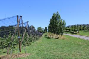 2-Zimmer Obstgarten Appartement