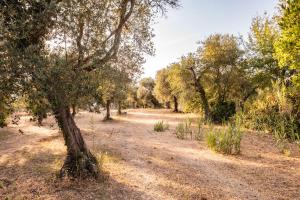 Escape in a Historic Trullo Estate - Private Garden Nordic Hot Tub - 4BR up to 8 guests