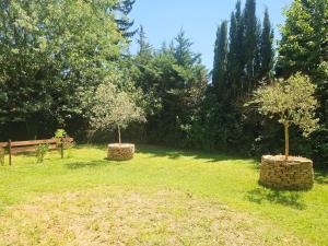 Appartements Appartement une chambre avec jardin : photos des chambres