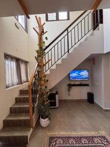 Tranquil - Atop the ridge