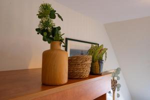 Appartements Les Gites Shu-no : photos des chambres