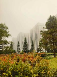 Cool Suites at SMDC Wind Residence Tagaytay