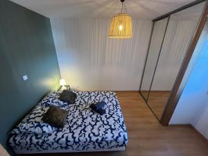 Appartements Le Felix Lagravere 1 lit double 1 canape- lit double : photos des chambres