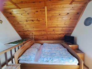 Chata u lesa na konci světa