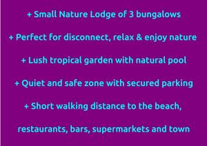 Dream Glamping Jungle Bohio