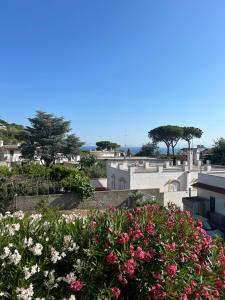 Villa immersa nel verde