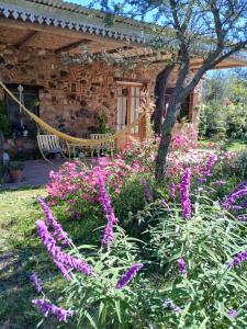 Vayu- en La Casa de Nanda