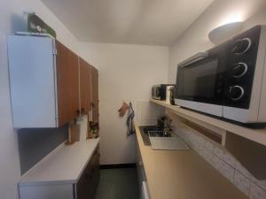 Appartements Duplex 65m² face aux pistes, balcon plein sud, 2 chambres, tout equipe, ascenseur - FR-1-266-157 : photos des chambres