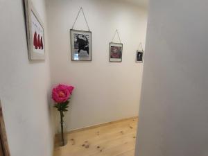 Villas Domaine de la Tapie de Bouchet - en Camargue : photos des chambres