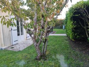 Villas Maison de plein pied de 67 m2 : photos des chambres