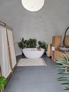 La bulle perchée de Chantilly