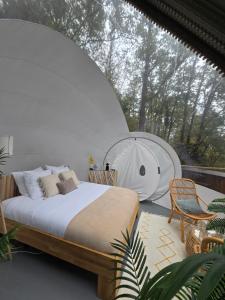 La bulle perchée de Chantilly