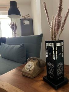 Igro Apartment img22