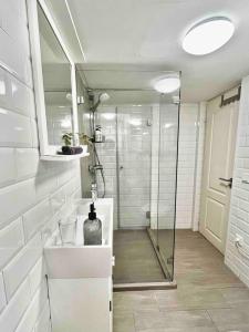 Central Budapest Studio Apartment with AC & Netflix