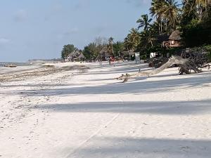 Jambiani Holiday House