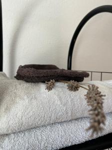 Maisons de vacances L echappee d Opale Maison avec Jardin : photos des chambres