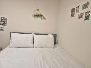 Haeundae Dalmaji The Blue