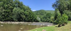Domki nad rzeką Solinką