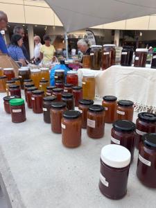 Alex Beach Apartment 51