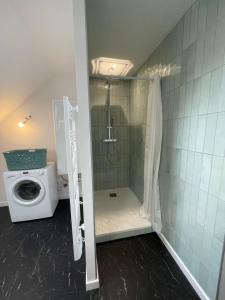 Appartements L-appart- : photos des chambres