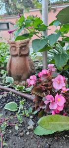 Victoria guest house