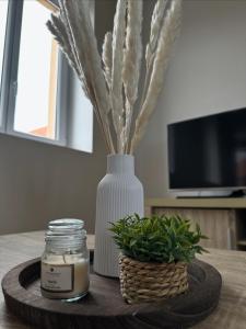 Maisons de vacances O Coeur des Champs : photos des chambres