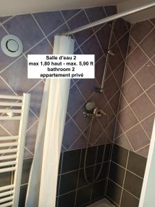 Sejours chez l'habitant Bordeaux centre, Appartement privatif et 5 chambres privees, piscine, parking : Appartement 2 Chambres