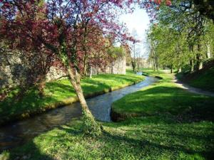 Maisons de vacances Holiday Home Alsace near Vosges Nature Park : photos des chambres
