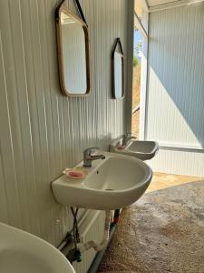 Unique Stay at Olive Camping