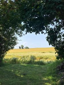 18th century gem with soul