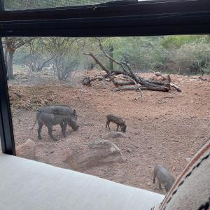 RockN Round Marloth Lodge