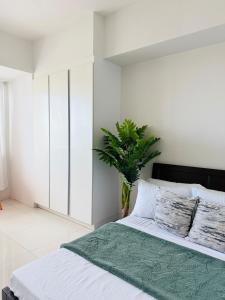 Calyx Residences Ayala