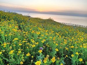 la casetta degli amici Ustica