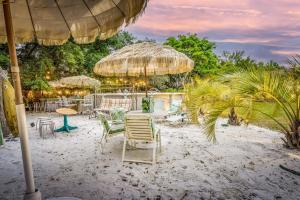 Tiki Bliss Pool & Resort Vibe