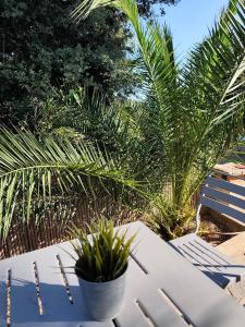 Maisons d'hotes BOUTIQUE HOSTEL BY Cassis : photos des chambres