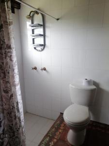 Casa de campo Cucunuba cabaña Buena Vista